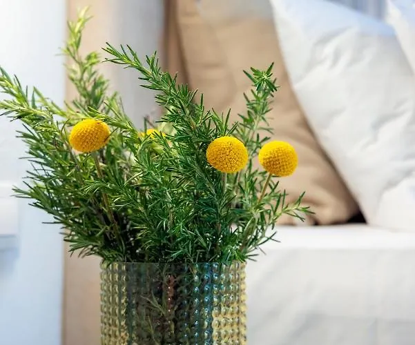 Casa Giorgio Exclusive 4* Rethymno (Crete)